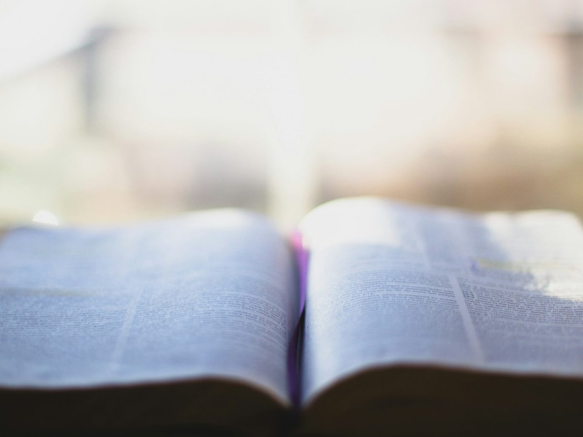 An open Bible by a sunlit window