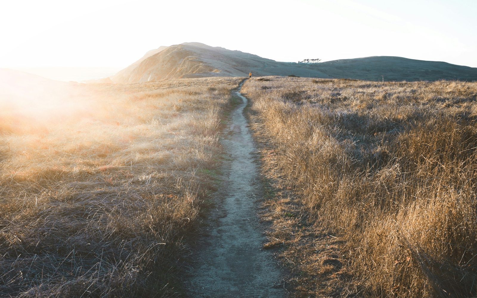 A narrow footpath through golden coastal grass toward a sunlit hill